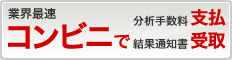 経営状況分析結果通知書 コンビニで即日受取可能